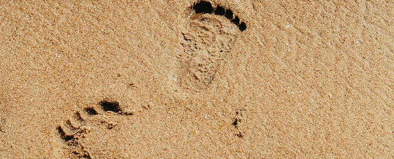 Opozarjamo na nevarno medijsko kulturo algoritemskih omrežij